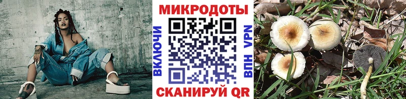 Галлюциногенные грибы ЛСД  купить наркотики цена  МЕГА маркетплейс  Краснодар 