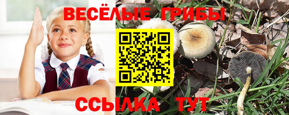 Галлюциногенные грибы GOLDEN TEACHER Краснодар