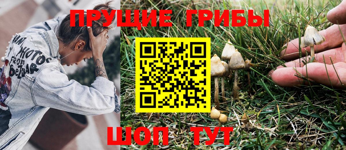 наркошоп  Краснодар  Псилоцибиновые грибы MAGIC MUSHROOMS 