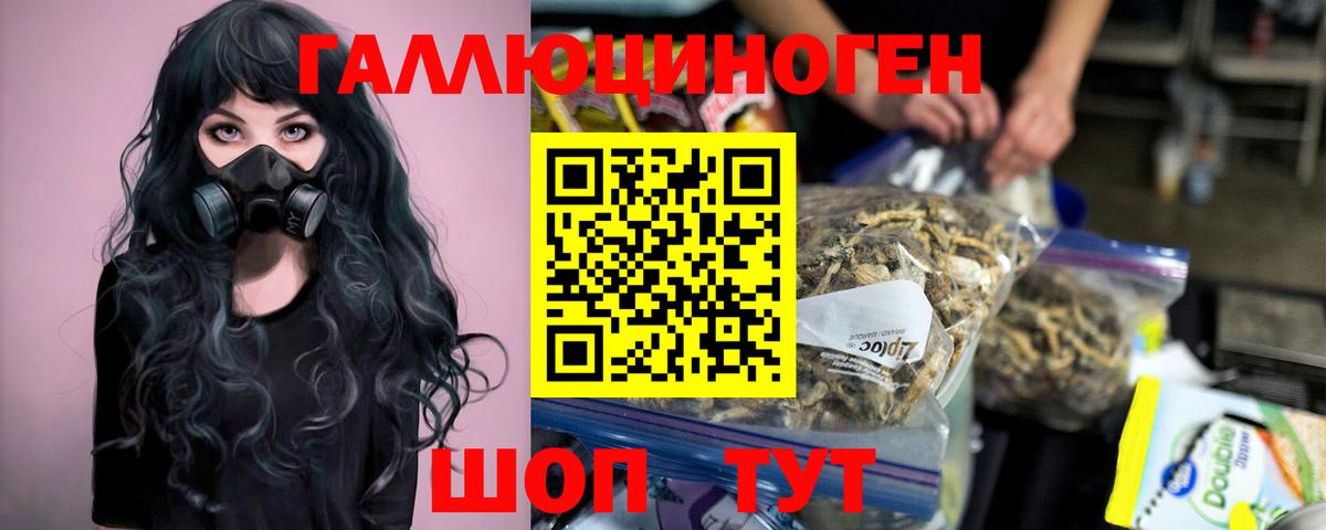Псилоцибиновые грибы прущие грибы  Вход с VPN  Псилоцибиновые грибы прущие грибы  Краснодар 
