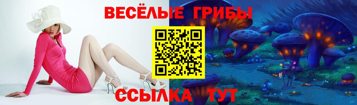 Псилоцибиновые грибы мицелий Краснодар